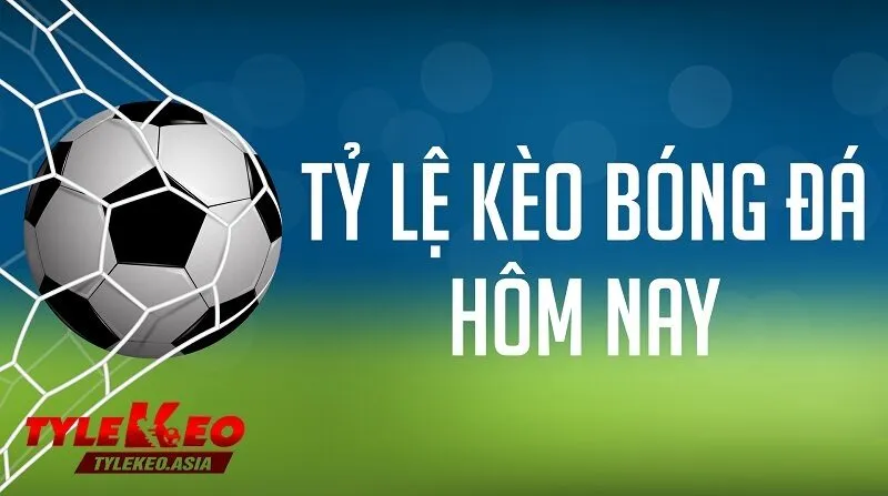 Tỷ Lệ Kèo Asia Không nên chạy theo tâm lý của đám đông